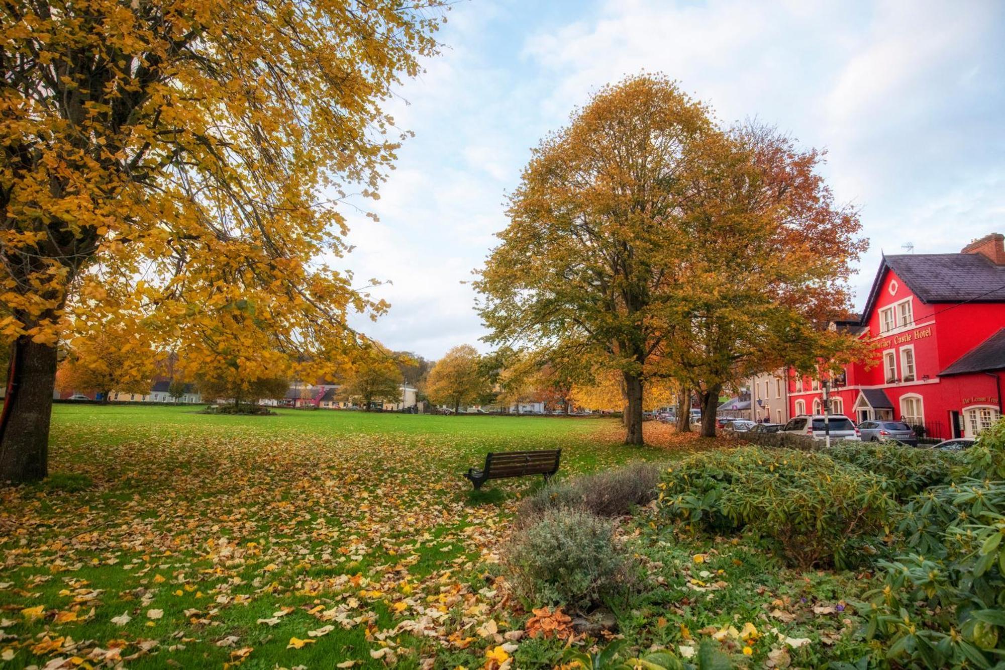 Blarney Castle Hotel エクステリア 写真